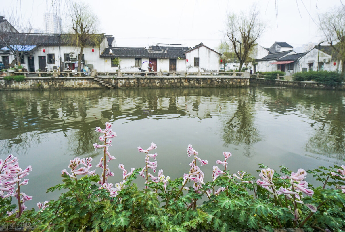 世界旅游组织在中国设立的观测点，你都知道几个呢？插图52