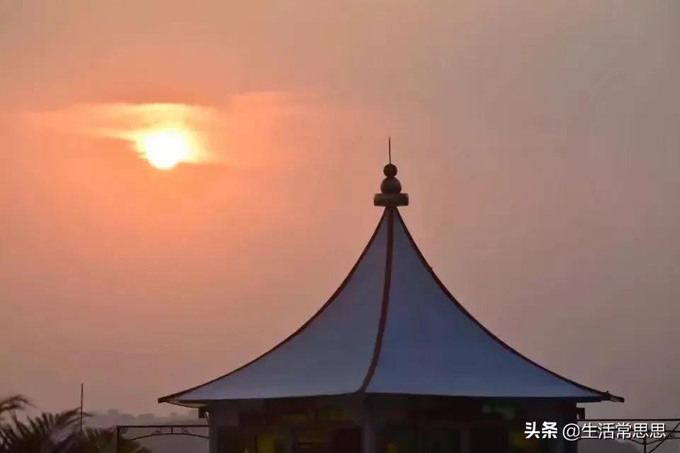 回首向来萧瑟处，也无风雨也无晴，浅忆年少时那些美好时光