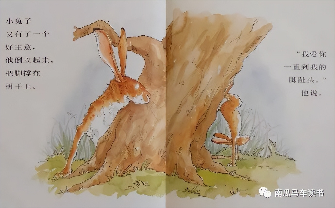 绘本《猜猜我有多爱你》：致敬母亲节——母爱到底有多长