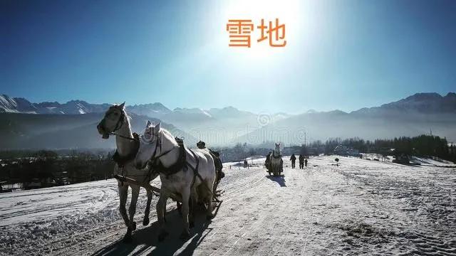 1912年，湘西王部队穿越羌塘无人区，断粮七个月，115人仅7人生还
