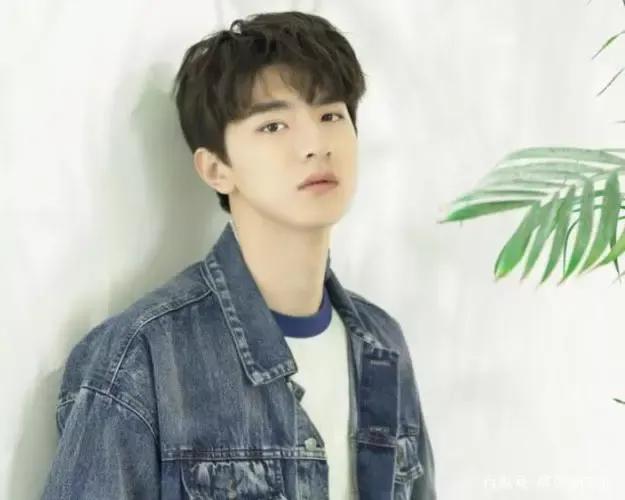 顾千帆、顾魏、顾一野、顾川、顾廷烨、顾燕祯，你最钟意谁？