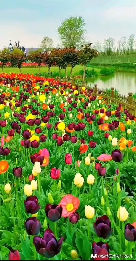 壁纸美图,自然美景如诗如画