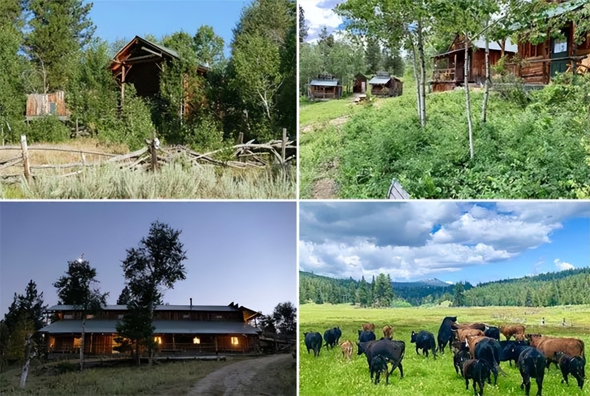 一个将传统文化发挥淋漓尽致的特色农场—美国长角牧场,秘密何在