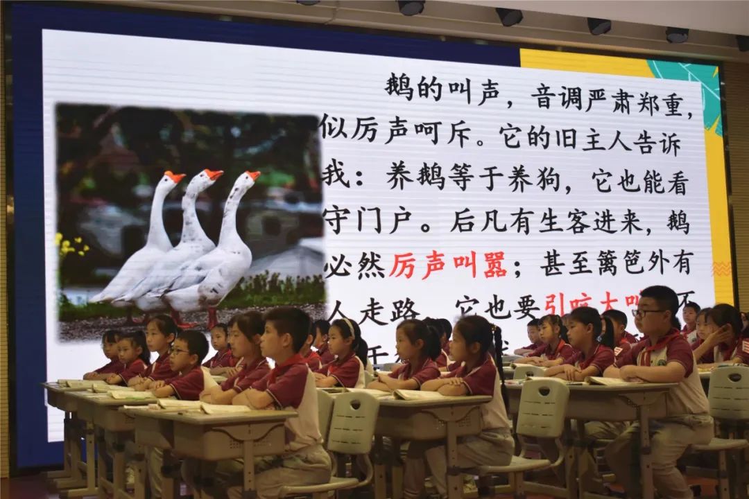 实验小学外国语学校周晓玲名师工作室送教到双流中学九江实验学校