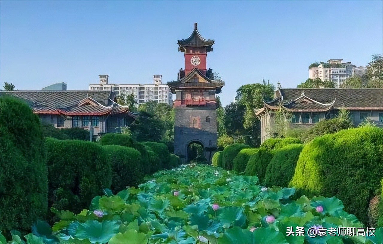 山东大学、四川大学和吉林大学，同为三档985高校，你该怎么选？