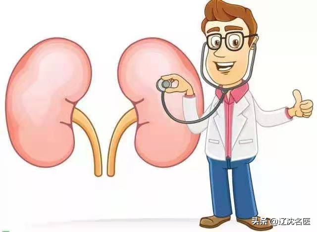 春季如何保护肾健康