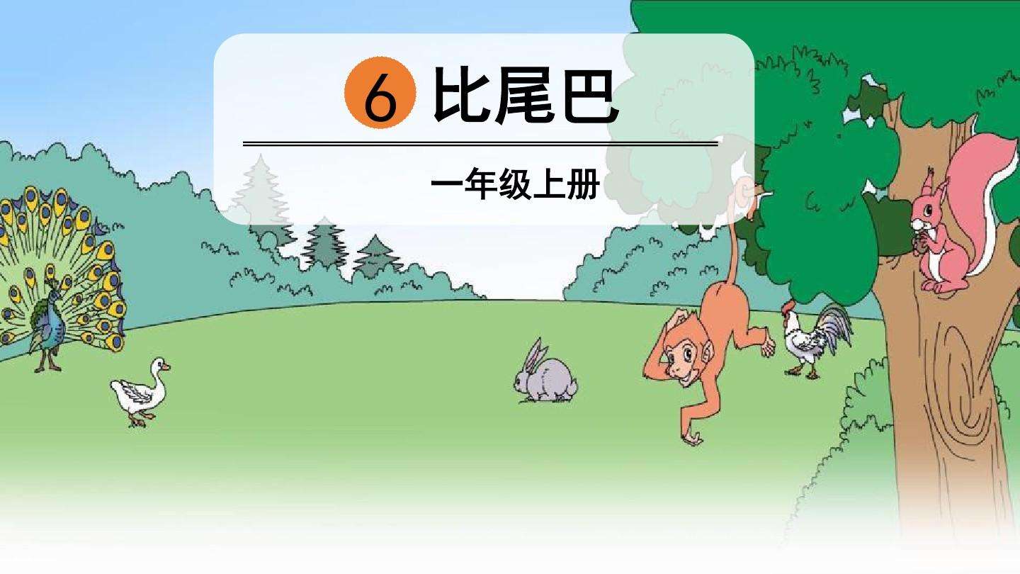 孔雀的尾巴像什么,孔雀的尾巴像什么答案一年級