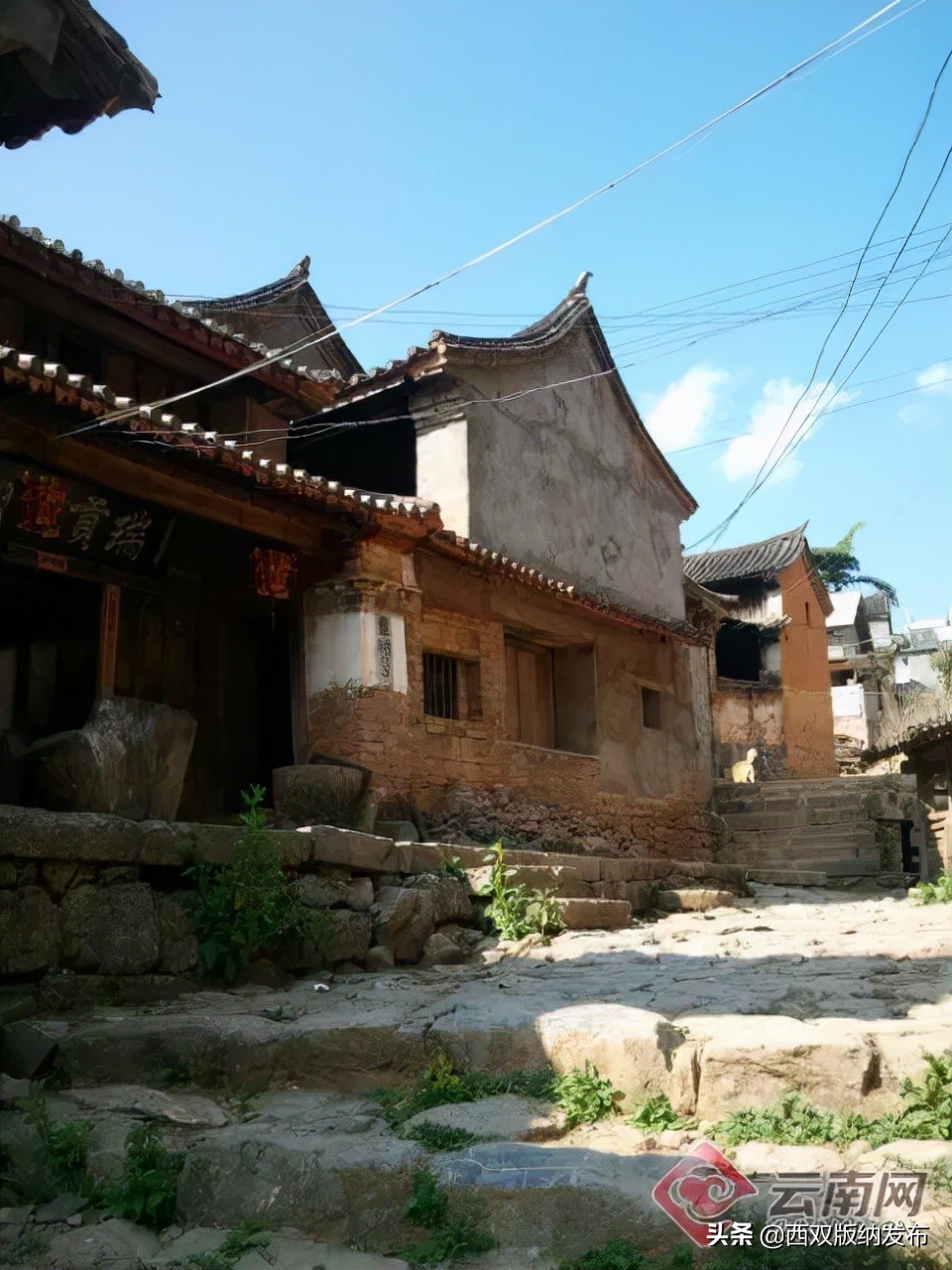 西双版纳旅游新期待丨用好气候“王牌”推出傣医药 “亮点”