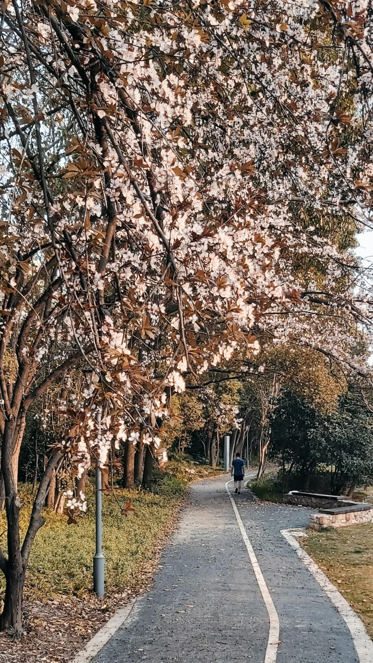 在上海你的朋友圈，还没有被芭比Q的亲友，只能说你太圈子太小