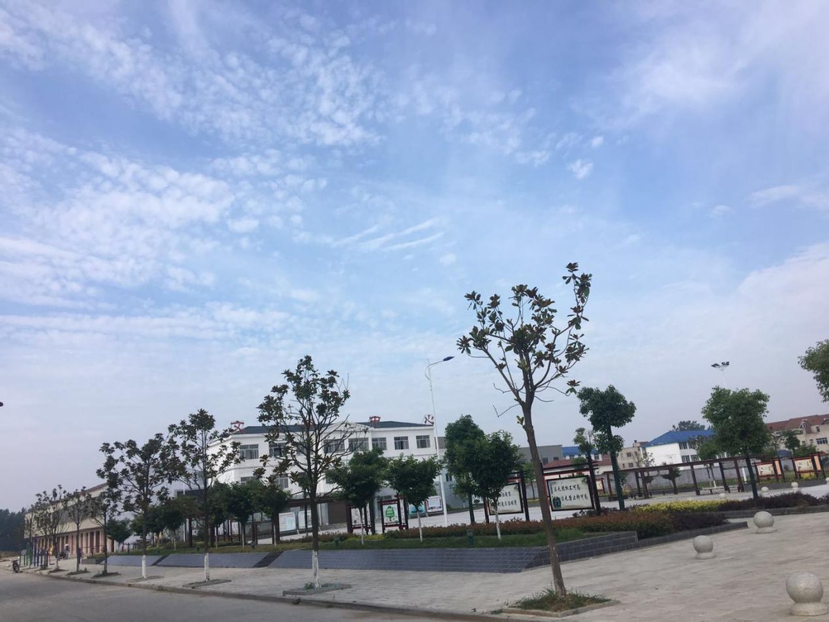 美丽乡村建设为枣阳市阎家岗插上了腾飞的翅膀