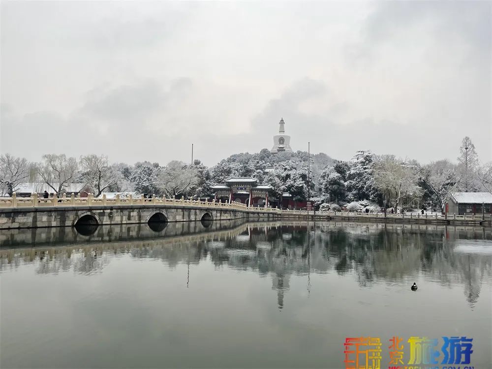 当春花遇上春雪，看京城别样的诗意与浪漫~