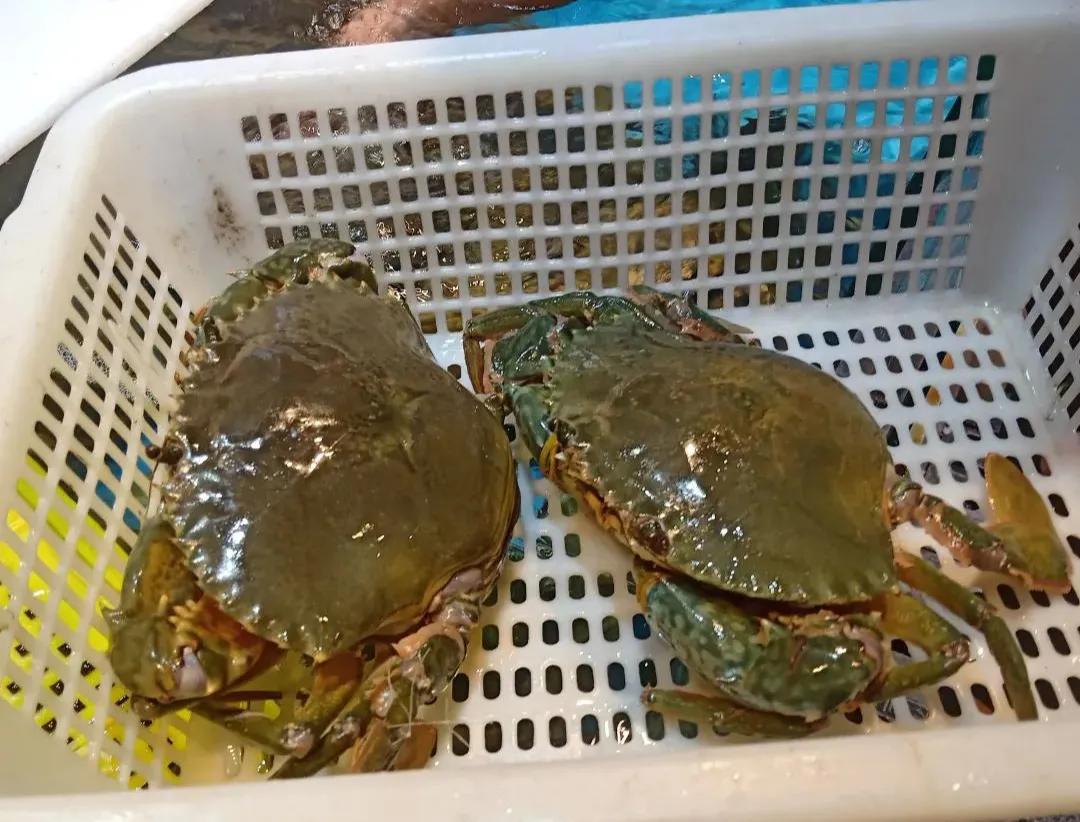 宁波过年送礼送几样（宁波送礼送什么东西）