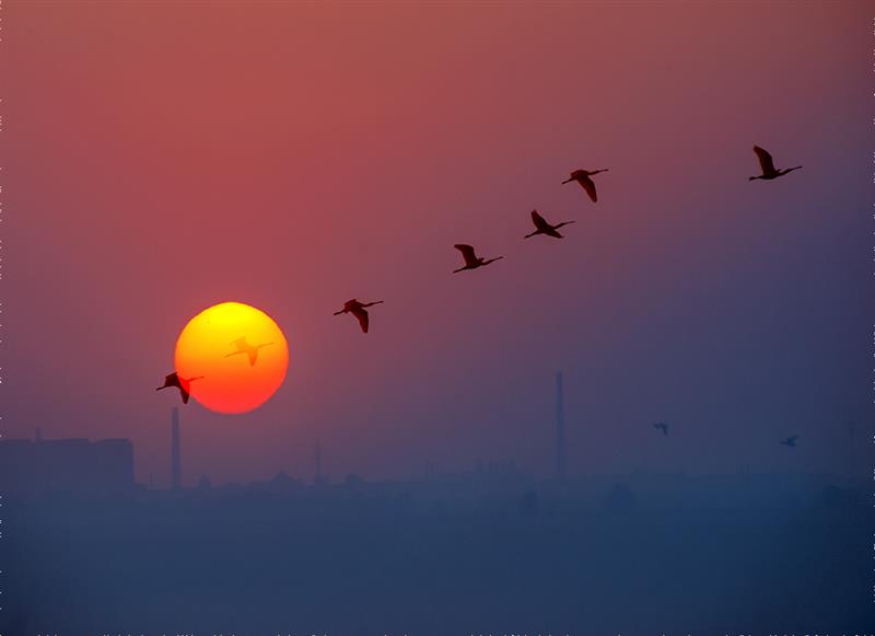 2017年，南大教授向失联23年儿子道歉，儿子称已断绝关系拒绝相认