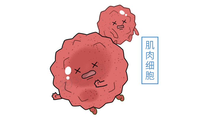 别再只是「把背挺直」了！正确的坐姿是这样的，很多人还不知道