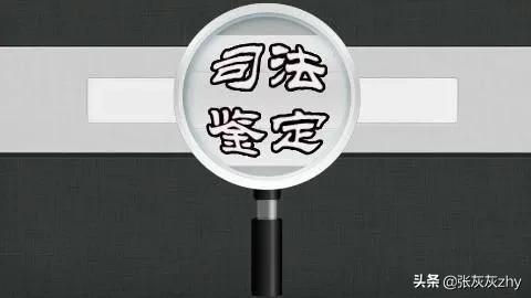 未对鉴定结论所依据的证据材料进行质证，属于违反法定程序的情形