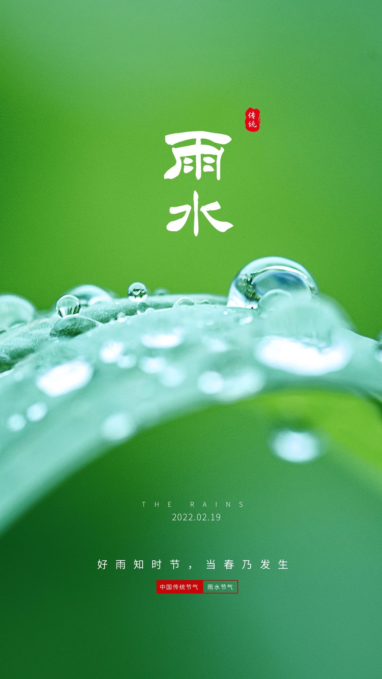 雨水节气图片配图高清唯美大全，雨水文案句子，雨水祝福语问候语