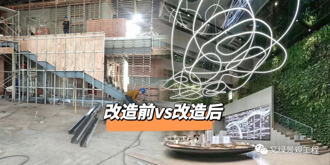 企业迎宾墙装修效果图：植物墙设计亮点与实用搭配
