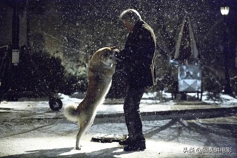 催人泪下的五部电影，你若一部都没看哭，内心真的是太强大了