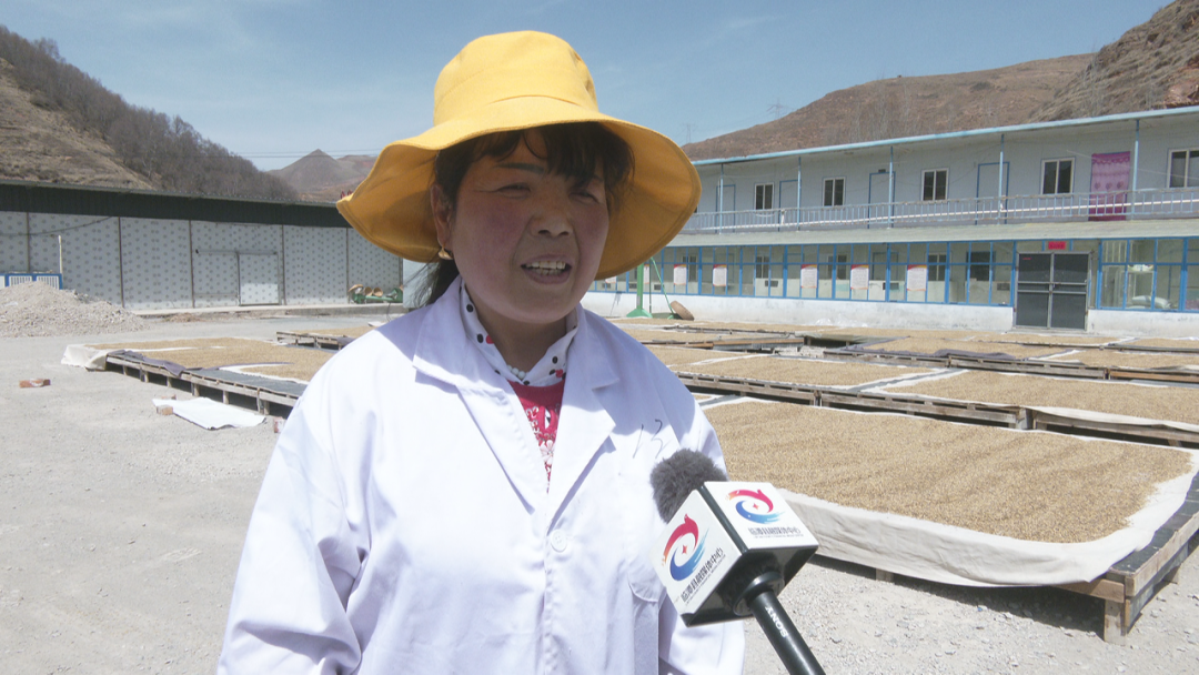酒厂里飘出“致富香”