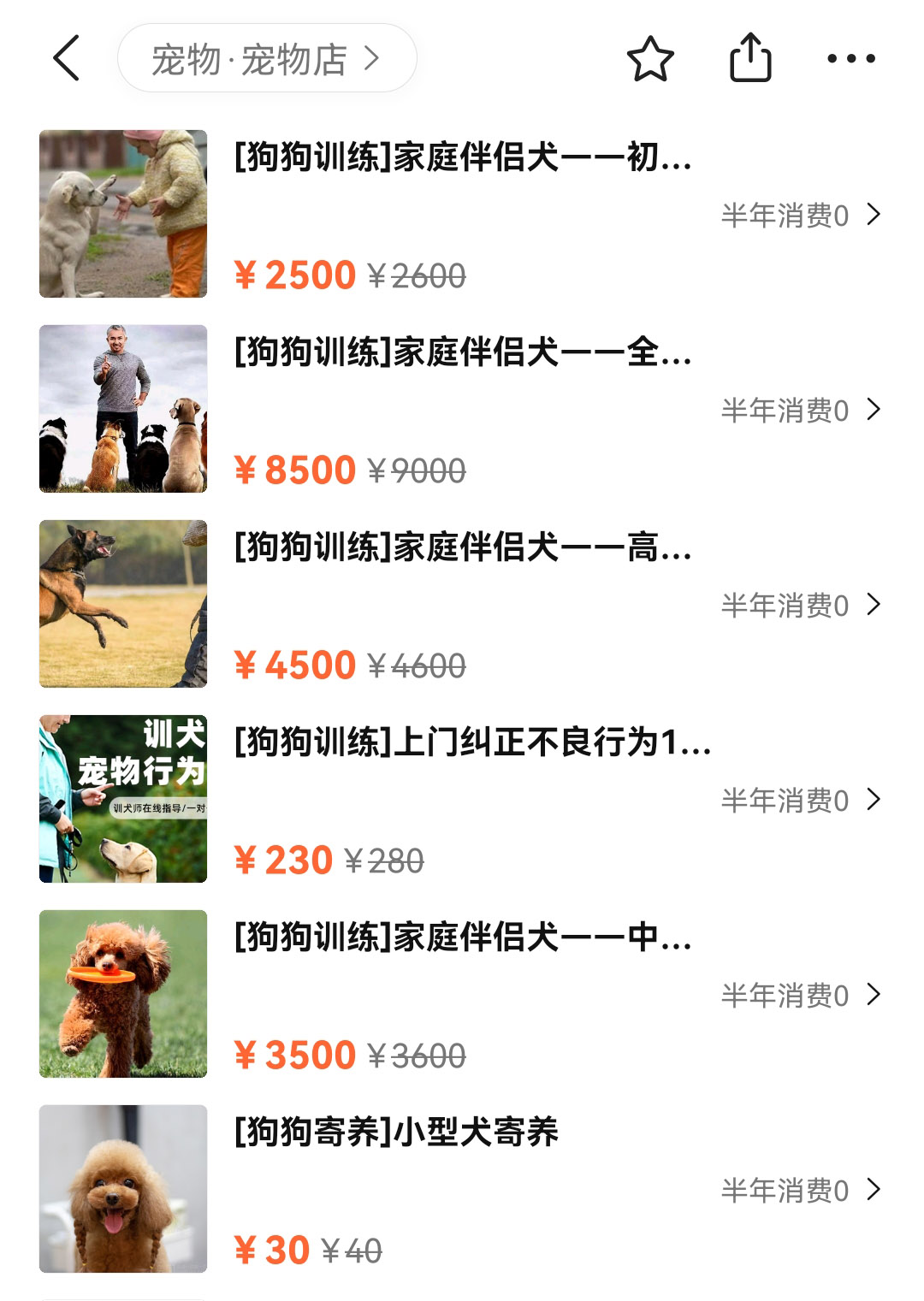 训练1只狗收费2万？宠物学校那么赚钱，为什么很少有人开？