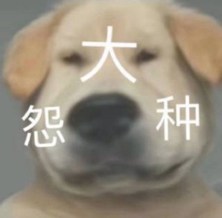 今天，我把微信全部扒光了
