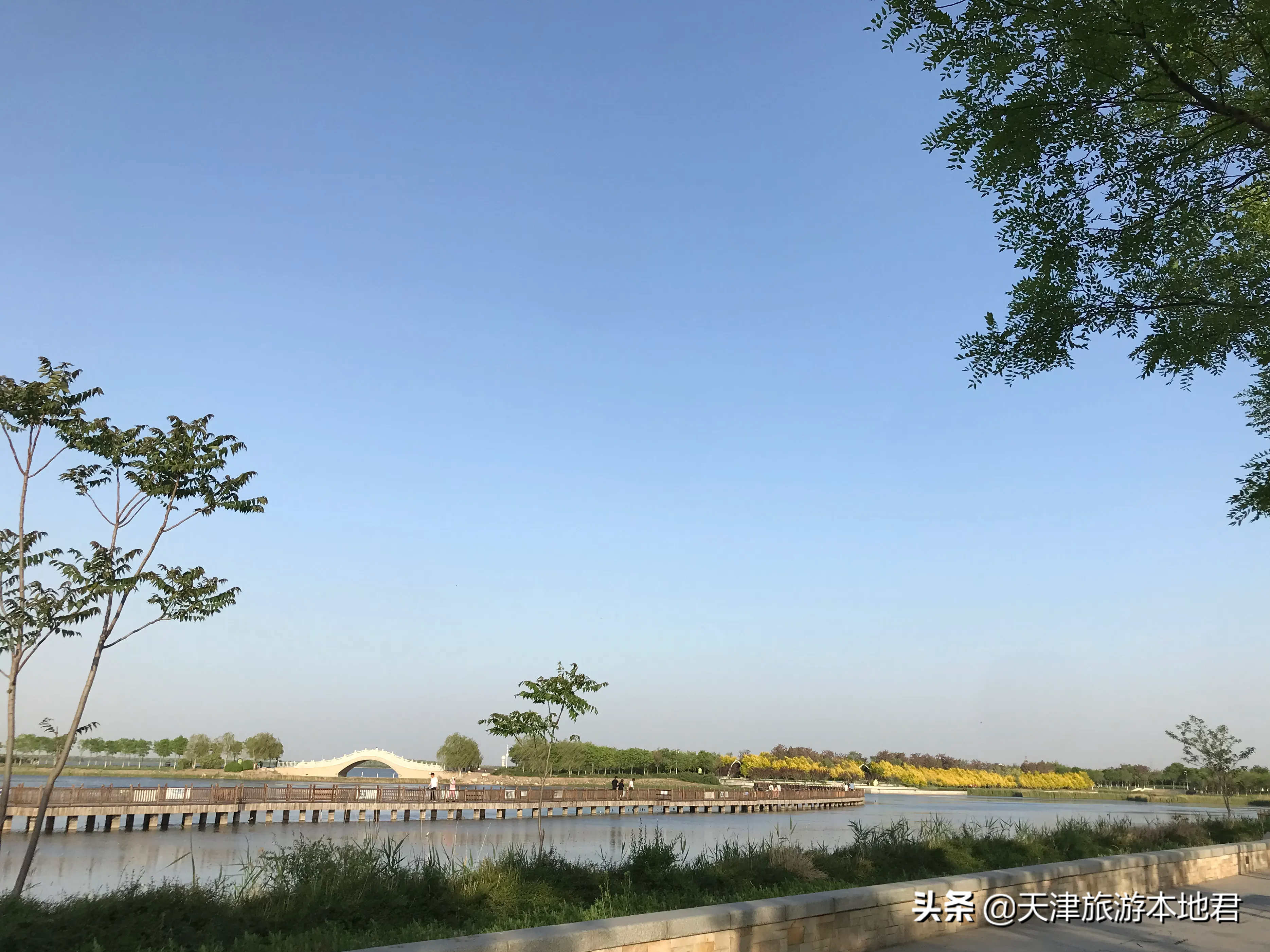 天津东丽湖生态公园图片