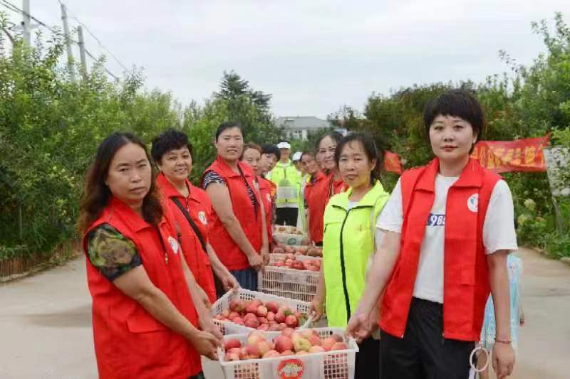 邯郸市魏城镇：心系孤残儿 盛夏送清凉