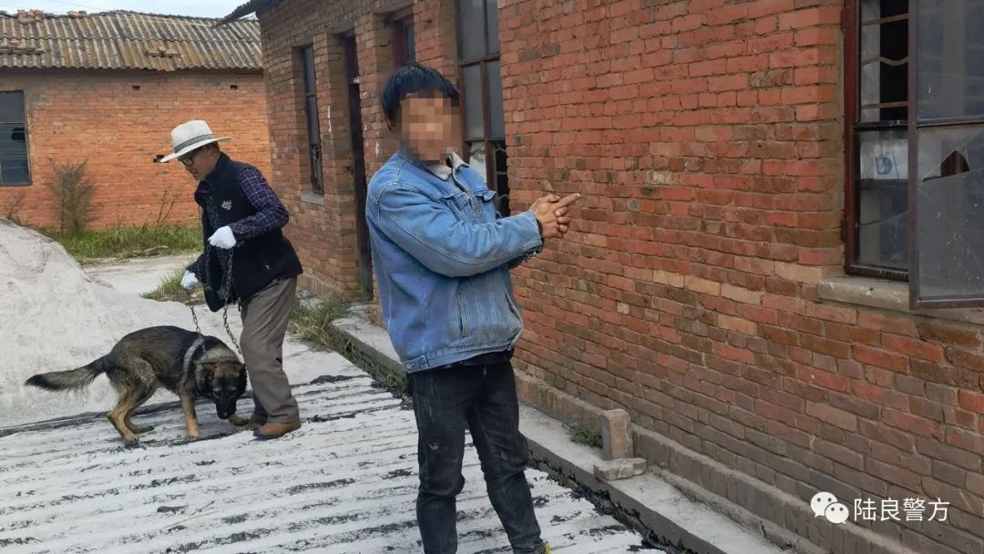 陆良警方连续破获32起盗窃牲畜案