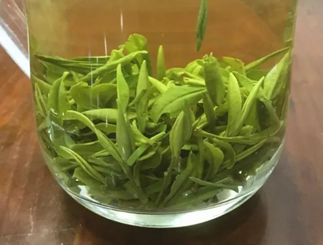 什么绿茶最香最好喝（实测绿茶的6大香型饮用口感）