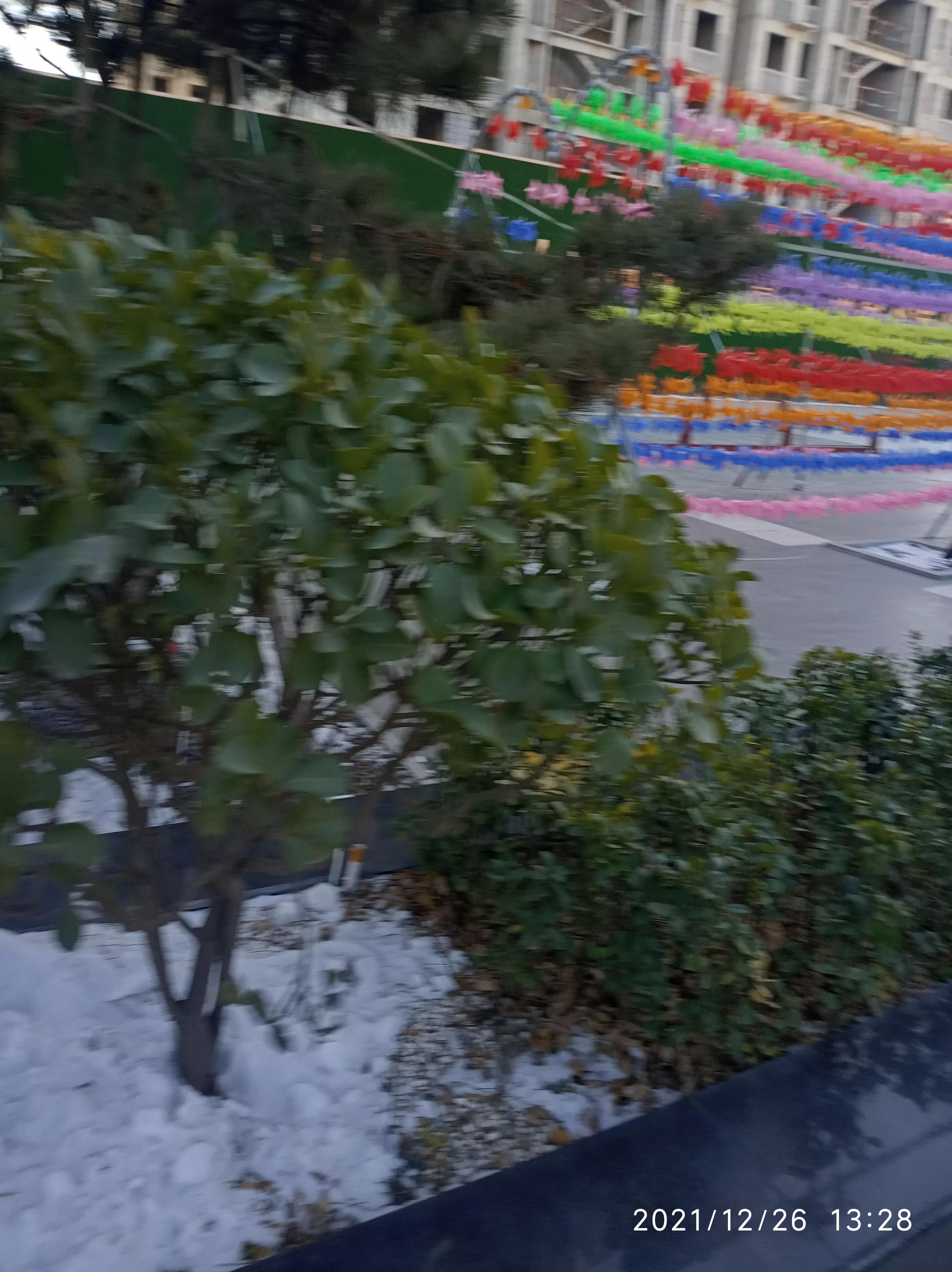 没儿没女的五保户，真的比儿女双全的老人幸福吗？答案是肯定的