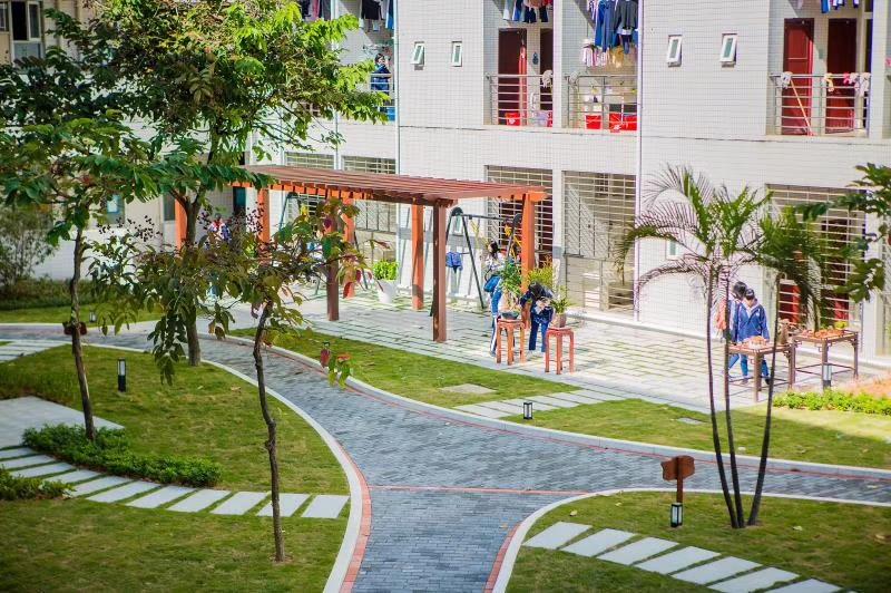 廣州市南沙第一中學(xué)：我在豐澤東路的日子(圖29)