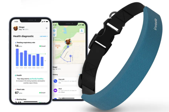 图扬科技|这款智能项圈想成为您爱犬的 Apple Watch 图扬科技|这款智能项圈想成为您爱犬的 Apple Watch