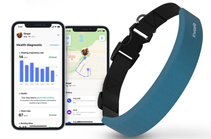 圖揚(yáng)科技|這款智能項(xiàng)圈想成為您愛(ài)犬的 Apple Watch