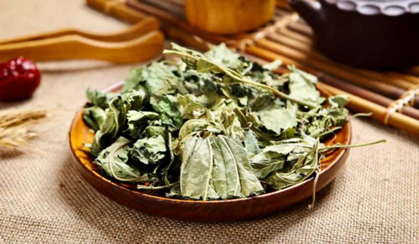 霜桑叶:用途太广,连古人都没真正看透它,给你增添一个新知识点