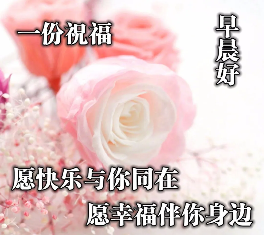 「2022.04.04」早安心语，正能量朋友圈语录图文，早安问候语图片