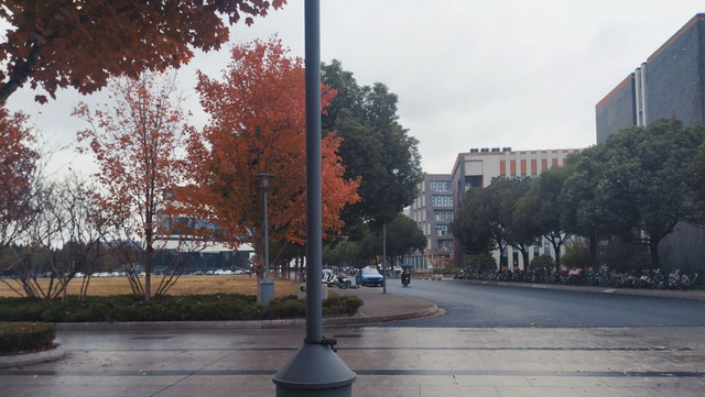 这7所院校不是美院，但设计类特色专业“名扬国内”，比美院还好