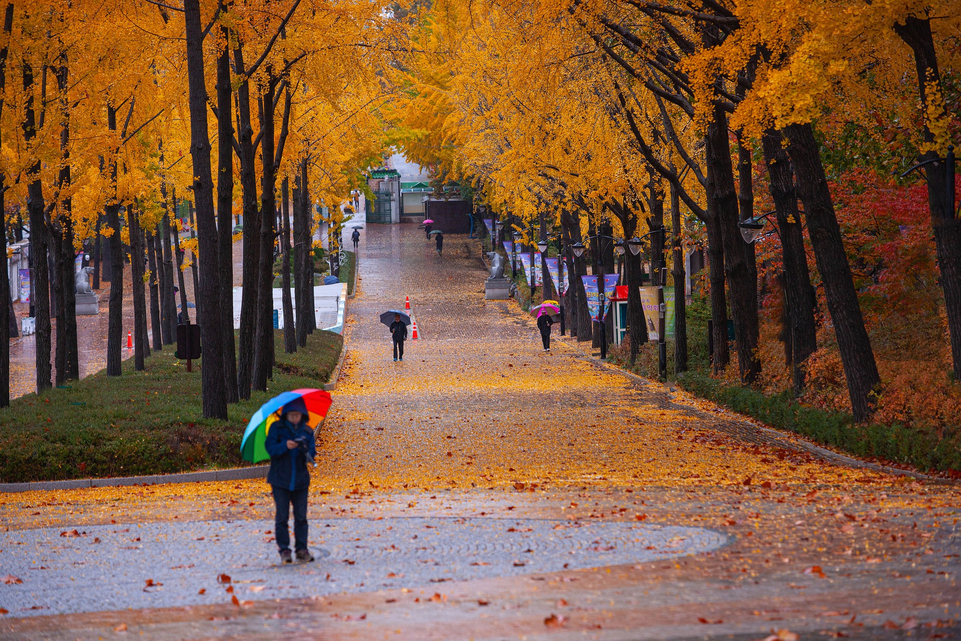 雨中乘车：每个人都如回家的亲人，这真是一种奇怪的感觉