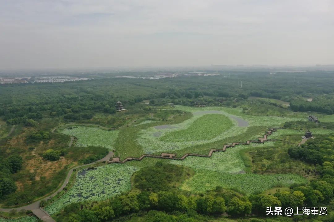 持中高考准考证免费入园，用美景开启暑假新生活