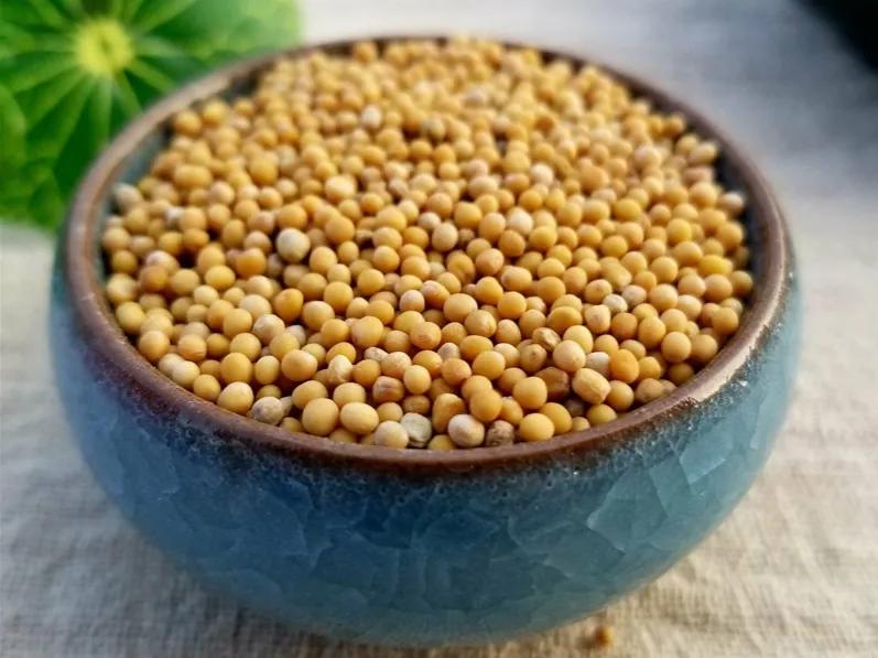 冬季咳嗽反反复复不见好？送你三味中药，化痰消食、降气平喘