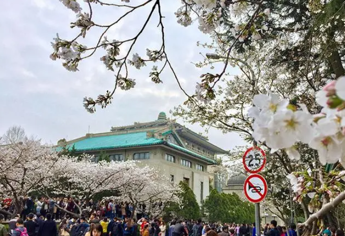 华科大拍摄宣传片，竟“借”武汉大学校草，华科大男生表示不服