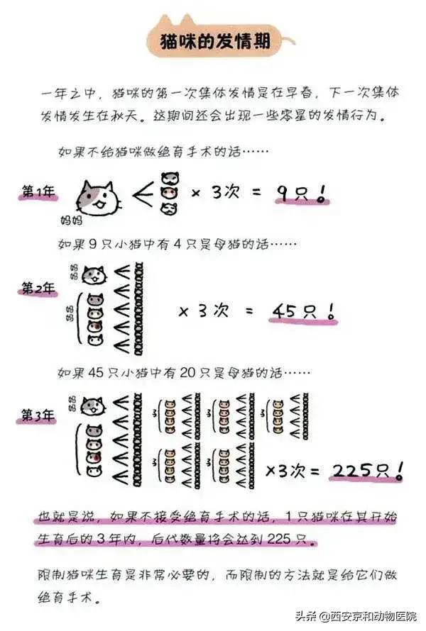 猫咪到底该不该绝育？