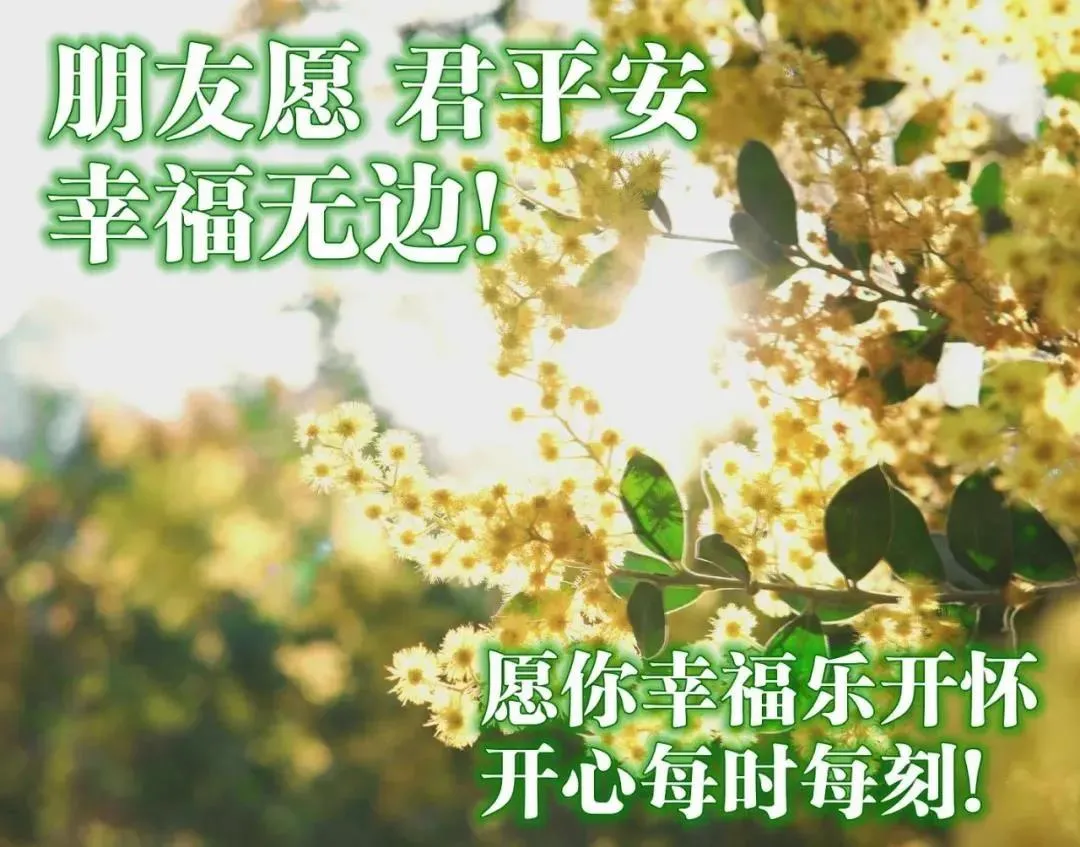 轻声问候,真挚祝福,愿幸福快乐常伴左右,早安