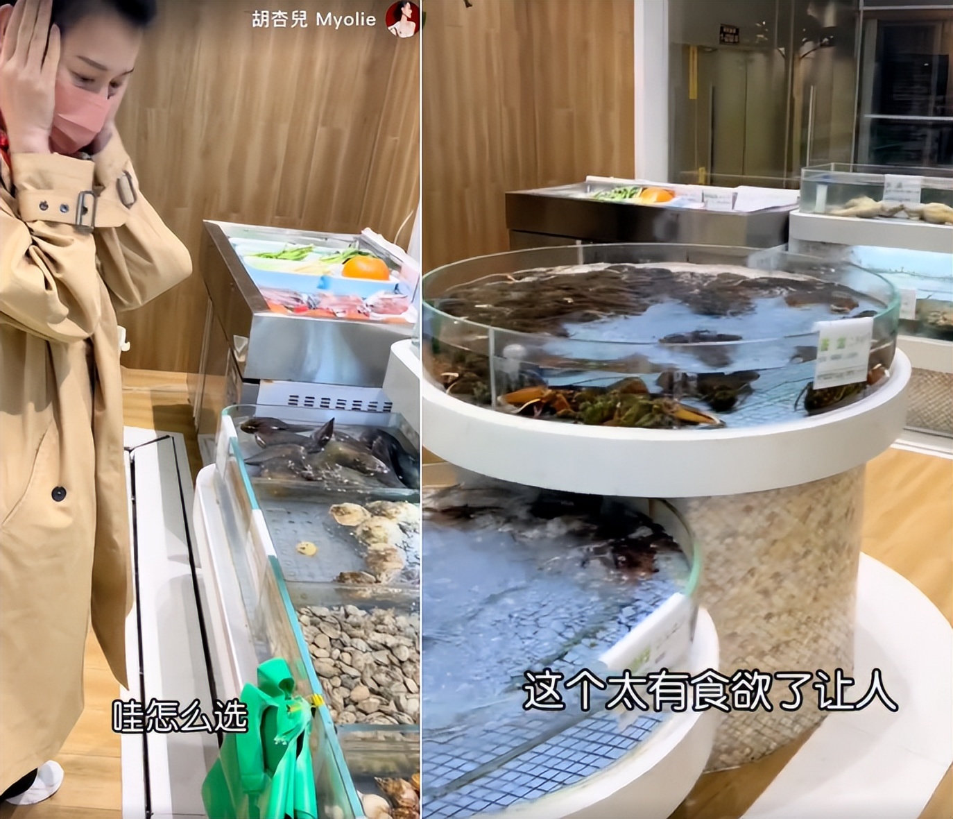 胡杏儿素颜吃海鲜大餐，碗里螃蟹比脸还大，主动打包剩菜毫无架子