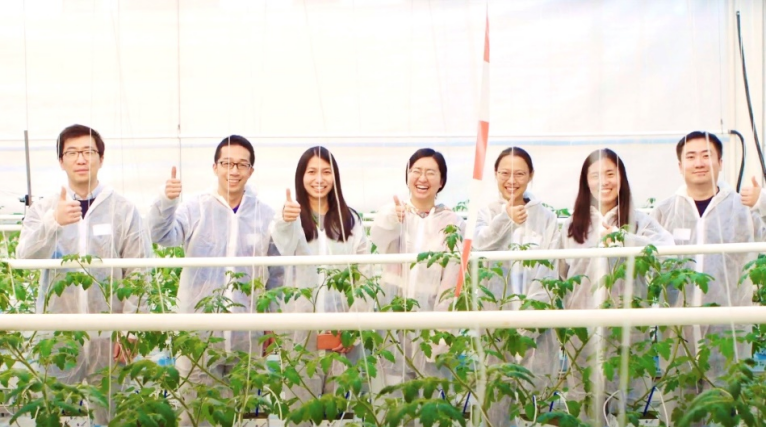 全球面临50年来最严重的“粮食危机”，谁来养活中国？