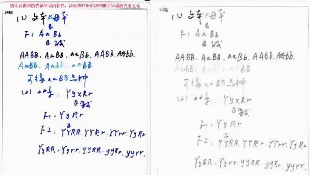 高考时，为何考生要用“2B铅笔”涂卡？看完电脑扫描结果恍然大悟
