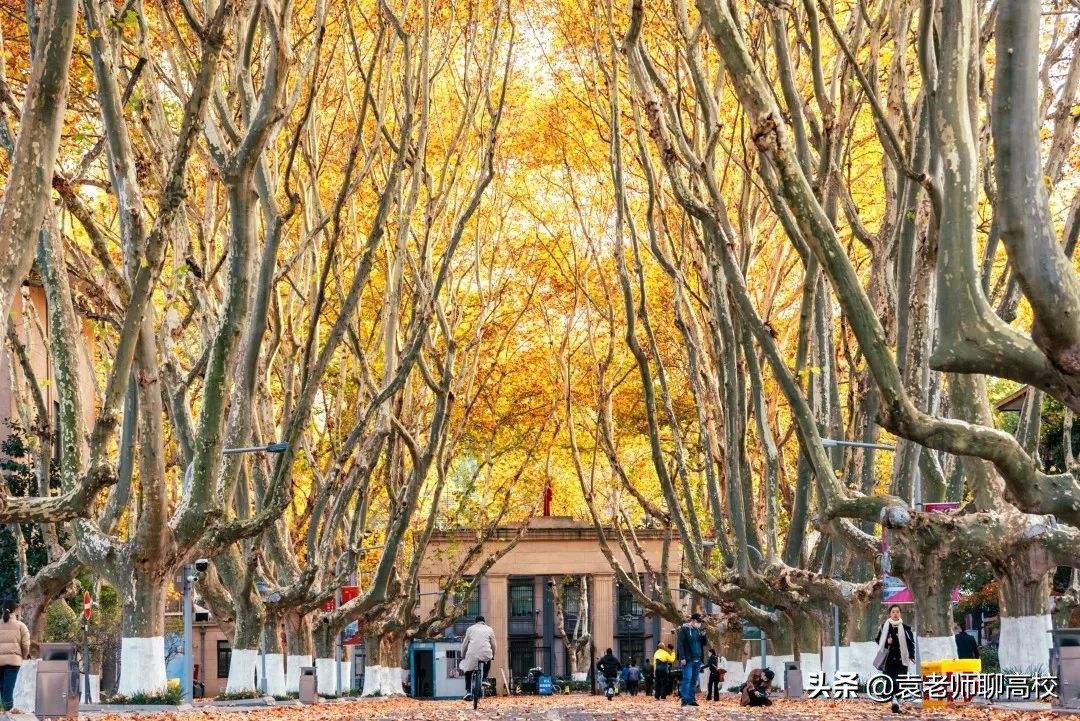 同济大学与东南大学，同为“建筑老八校”，谁能成为华东第六校？