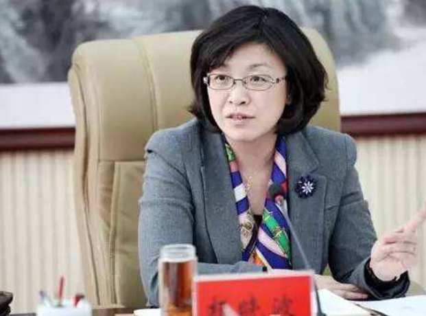 旧案｜2014年山西女市长杨晓波落马记