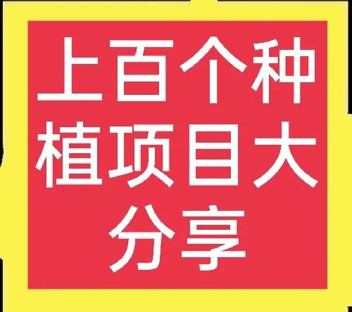 農業種植項目,