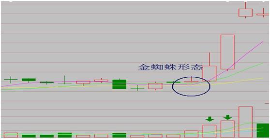 一位民间股神的退市感言：写给所有迷失的散户