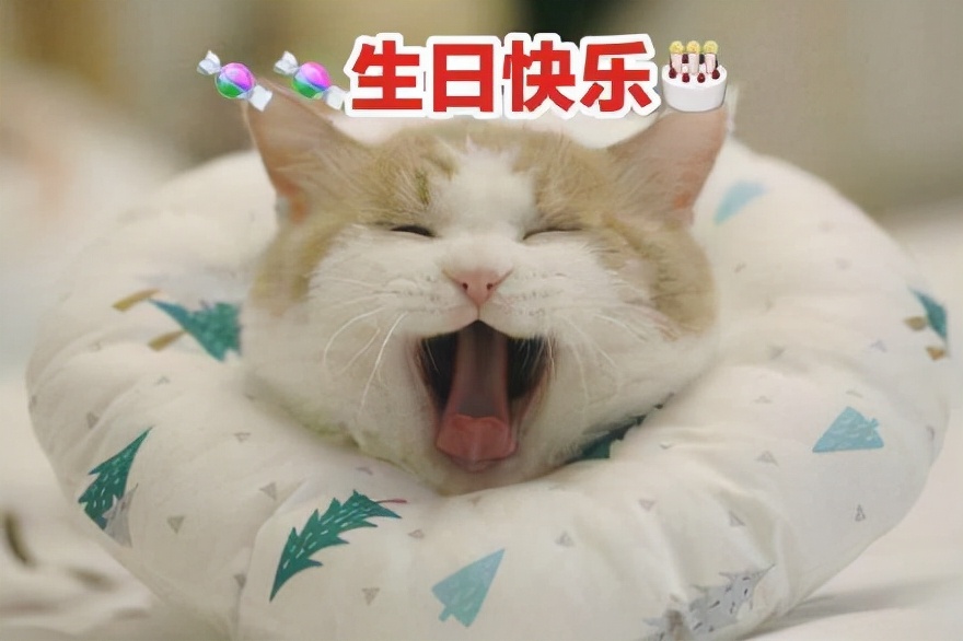 沙雕生日祝福 搞怪生日祝福文案 - 时代开运网